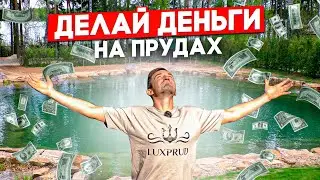 How to build a BUSINESS on a plot? | $1,000,000 on FISH | Build a pond in Kaliningrad