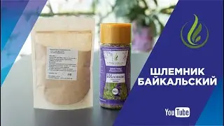 Вы слышали о шлемнике байкальском?