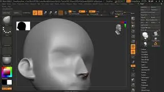 ZBrush Nose Tutorial