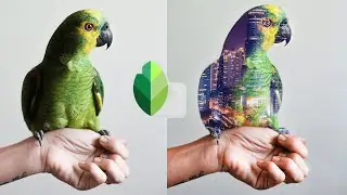 Tutorial : Create Double Exposure Effect With  Snapseed 2020