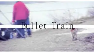 Bullet Train *Video for Ichliebeschleich*