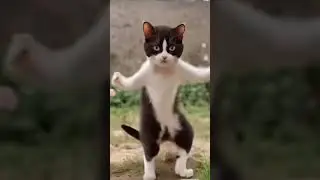 😅😅कॉमेडी #shorts #ytshorts #viral 👍 ✌️ 🙏 👍