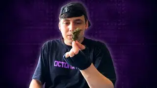 ACORDEI BOLANDO UMA FLOR - VLOG