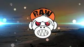 HARDSTYLE 2022 🔈 Vespillo - The Purge [MONKEY TEMPO]