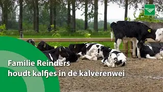 'Kalf dat buiten loopt is gezonder en levert duidelijk meer op'