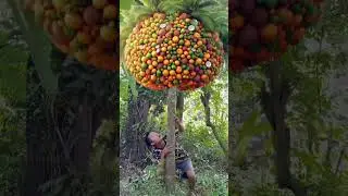 ❗Isang bangka na maraming karga❗#viral #viralshorts #viralshort #viral