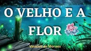 Frases Lindas de Amor ❤️😍