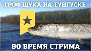 Трофейная щука на Тунгуске во время стрима - РР4┃maXS1k