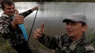 Развлекуха на пол часа. Бешеный клёв карася. Просто шок.