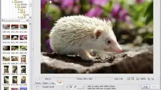 Photoscape Effect Brush Tutorial