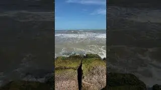The Waves 🌊 Of Galveston Beach