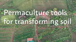 Permaculture Tools for Transforming Soil | using mulch, green manures, compost and multi-cropping
