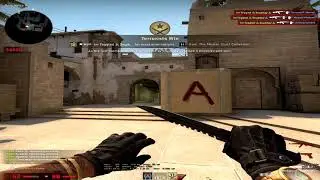 Smohkey 2ks like Flusha [VAC SHOTS]