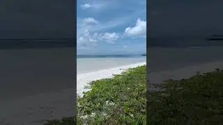 чем вам это не 