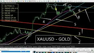 FOREX TRADING LIVE XAUUSD GOLD