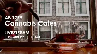 Cannabis Cafes: Assemblymember Haney Press Conference