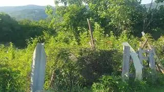 г.Сочи сВардане-Верино , продаётся Участок , 36 соток. с живописным видом на горы, у дороги.