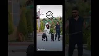 Videonun devamı ve güncel paylaşımlarımız için instagram hesabımızı takip etmeyi unutmayın
