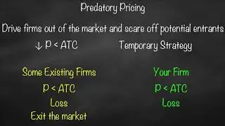 Predatory Pricing Model