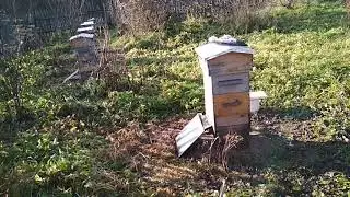 Повторная обработка шнуром ТЭДА.