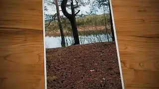 Бабаево.Вологодская область.