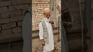 Апелсинпарварии Ҳоҷибобо дар ноҳ. Данғара.