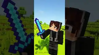 This friend who loves mods on Minecraft too much