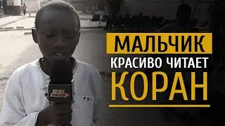 Красивое Чтение Сура 17 «Аль Исра» 18-27