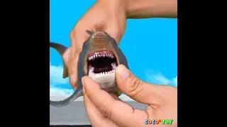 A megalodon lives in my front yard! #Shorts ｜sharks for kids｜CoCosToy