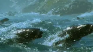 THE MYTHIC CALL MUSIC VIDEO TO FANTASTIC SCENERY