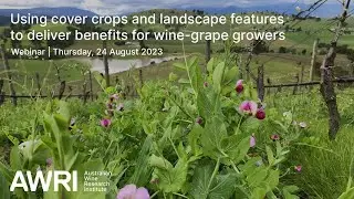 Using cover crops and landscape features to deliver benefits for wine-grape growers