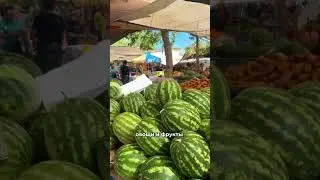 Вот почему мы решились на переезд из Новосибирска на Северный Кипр🌴