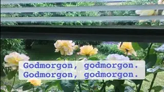 Godmorgonsången från Bolibompa (med text) | Godmorgonsång barn