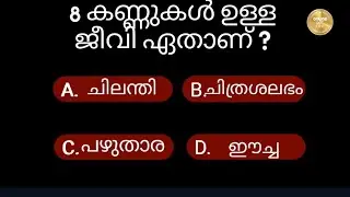 37.വെറൈറ്റി ചോദ്യങ്ങളും ഉത്തരങ്ങളും
