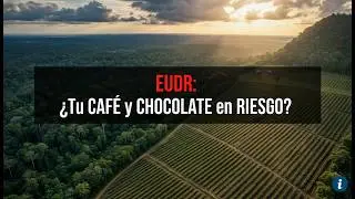 EUDR 2025: Will coffee and chocolate prices rise? A guide to deforestation-free purchasing