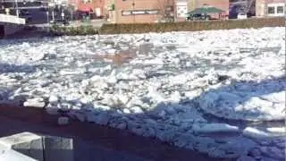 Saint John River (Water going wrong way) March 23, 2012