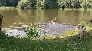 Как жаль, что Арчи не умеет плавать.😥.