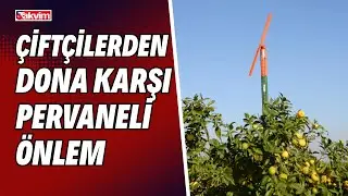 Çiftçilerden dona karşı pervaneli önlem