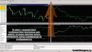 Форекс на автопилоте. Установка и настройка VPS сервера.Зачем и почему