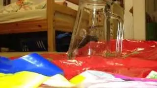 Gas waffe vs glas(glas gewonnen)