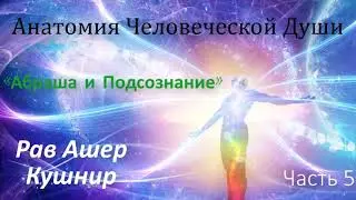 Анатомия Человеческой Души 5. «Абраша и Подсознание»