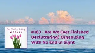Are We Ever Finished Decluttering? Organizing With No End in Sight - The Clutter Fairy Weekly 