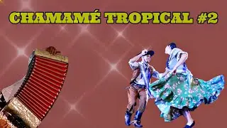 CHAMAMÉ TROPICAL 2023 | Enganchados Bailables #2