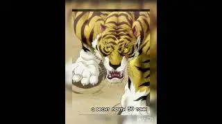 Пикл против Сибирского тигра