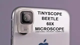 The 60X 'Beetle' Microscope! with Samples