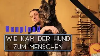 Wie kam der Hund zum Menschen   Die Domestikation des Hundes