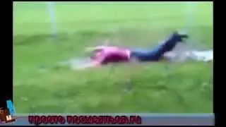 Плавцы вольного стиля