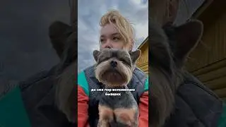 Кристальная правда обо мне✌️