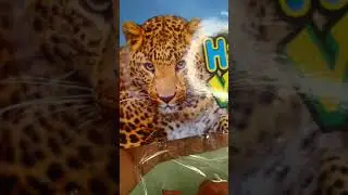 jungle world toys 