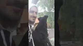 Eu e o Faísca